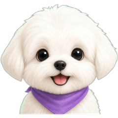 Kuma